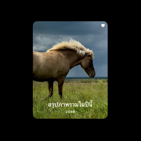 รูปภาพของม้าแสดงถึงคอลเลกชั่นรายการโปรดในแอปรูปภาพ