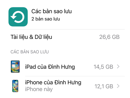 Màn hình hiển thị dữ liệu sử dụng Sao Lưu iCloud