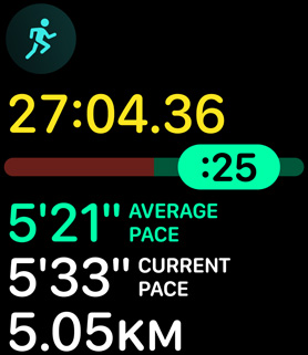 Running form metrics providing the person's pace and distance.