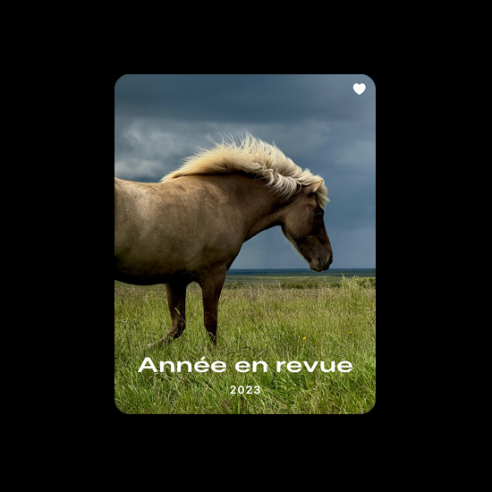 Photo d’un cheval illustrant la collection des favoris dans l’app Photos