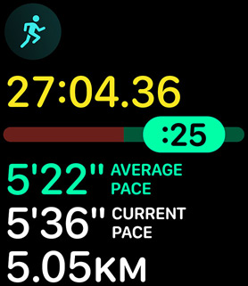 Running form metrics providing the person’s pace and distance.