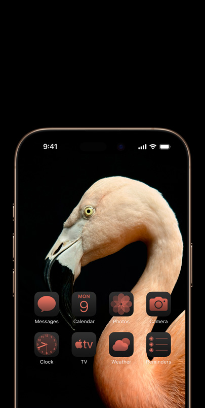 iPhone 16 Pro screen with a dynamic side-profile photo of a pink flamingo and widgets tinted pink to match.