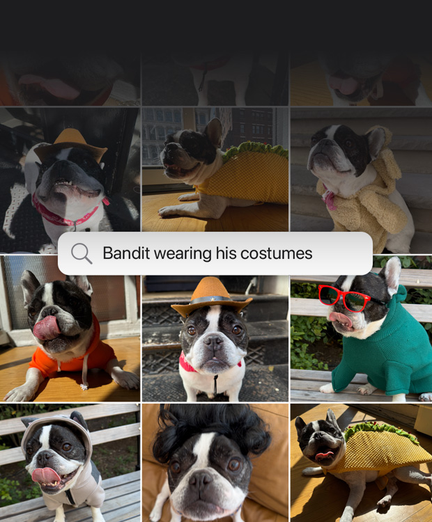 Demonstração de recurso: Busca em linguagem natural nas fotos. Pesquisa no app Fotos com os resultados da frase 'Bandit de fantasia'